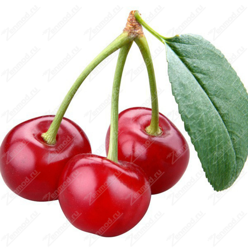 Фото и внешний вид — Capella - Wild Cherry with Stevia 10мл
