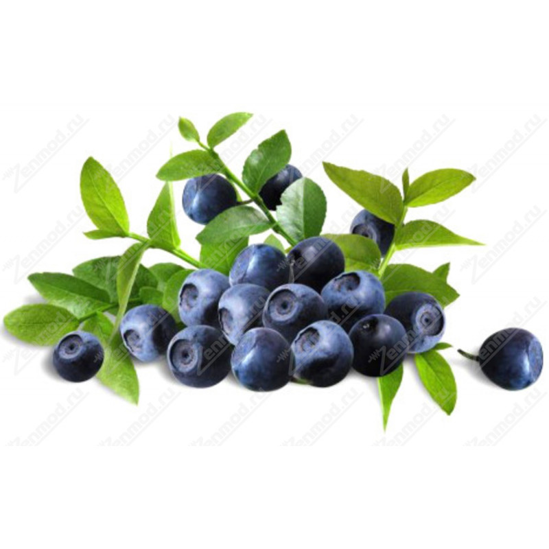 Фото и внешний вид — Capella - Blueberry 10мл