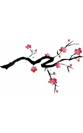 TPA - Cherry Blossom 10мл