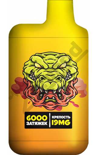 TURBO 6000 - Aloe Grape Strawberry