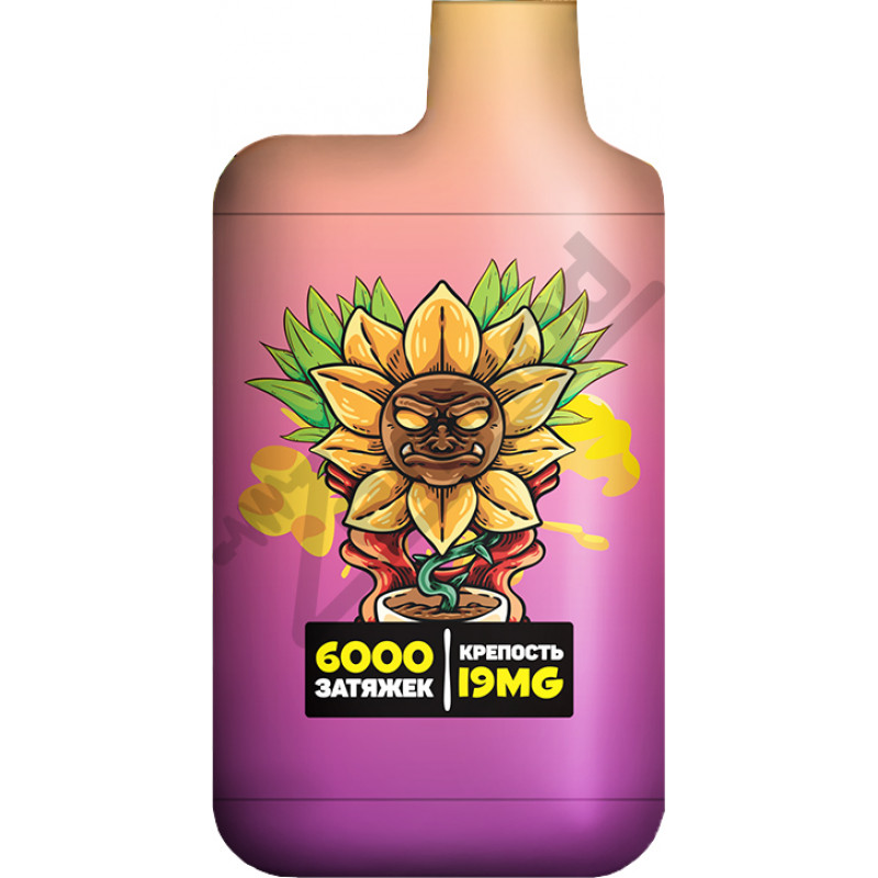 Фото и внешний вид — TURBO 6000 - Peach Mango Pineapple